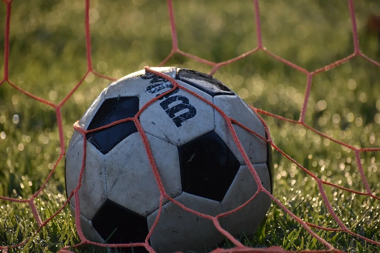Fodbold i et orange net på græs